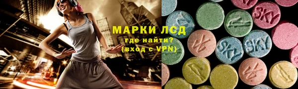 спиды Аркадак