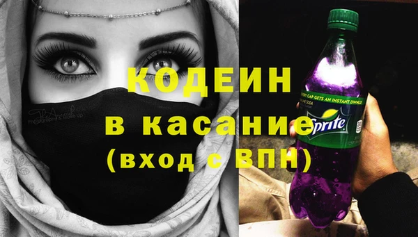 сатива Арсеньев