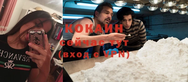 спиды Аркадак