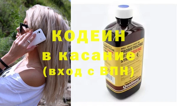 сатива Арсеньев